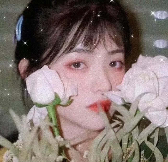劲舞飞扬